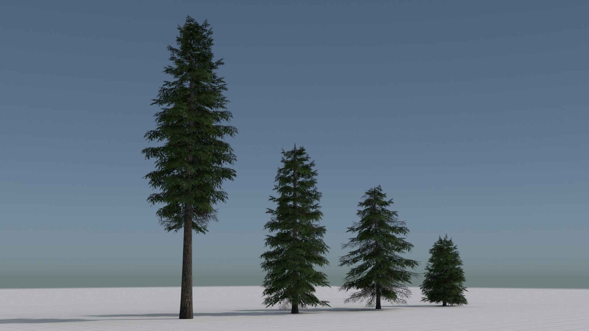 Larch Pine Tree Low-poly 3D model_15