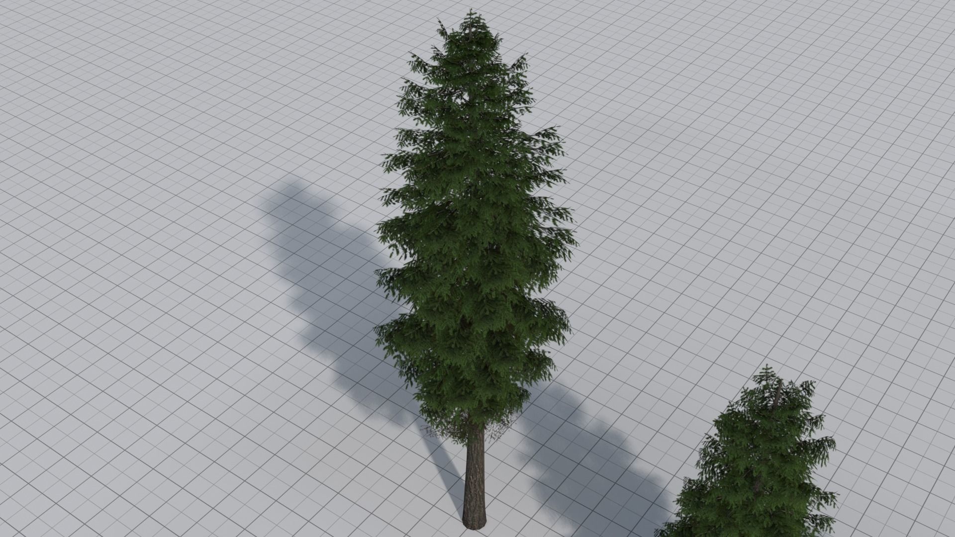 Larch Pine Tree Low-poly 3D model_14