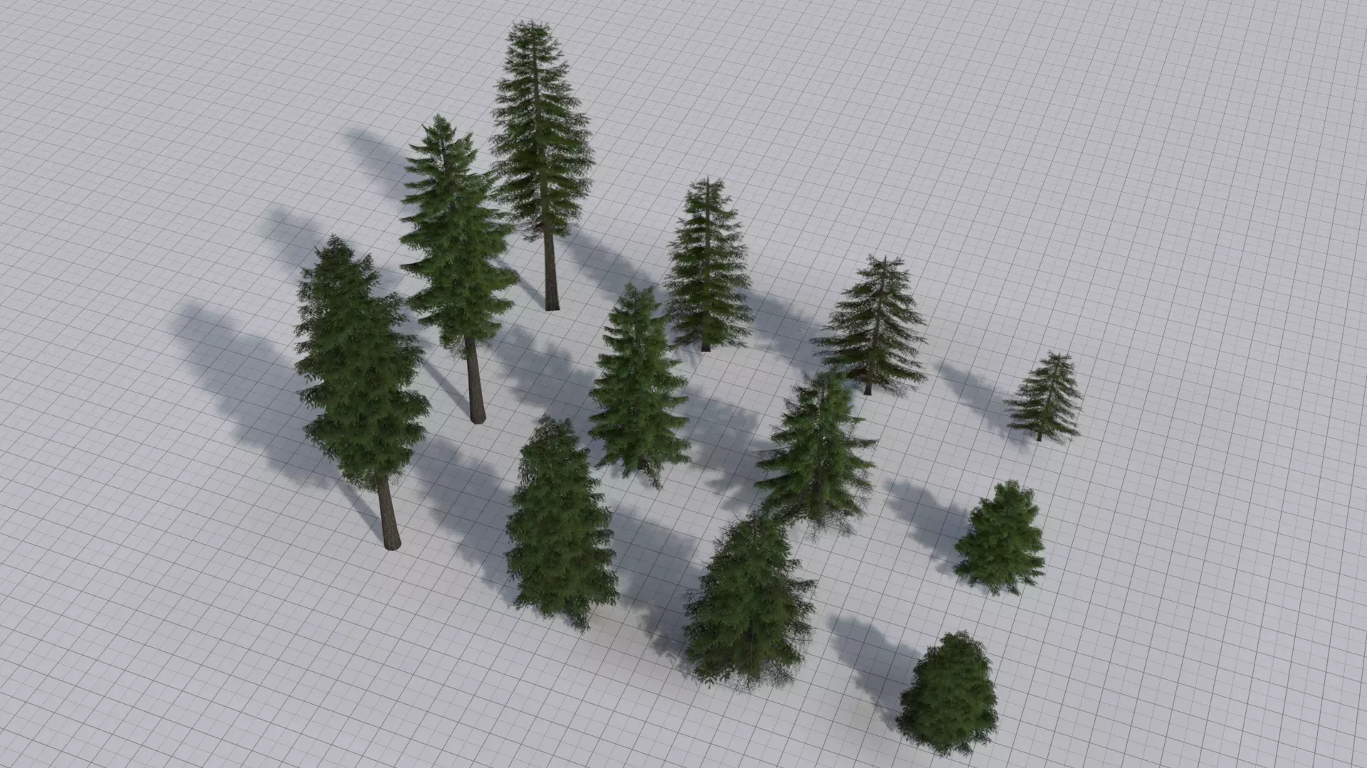 Larch Pine Tree Low-poly 3D model_0