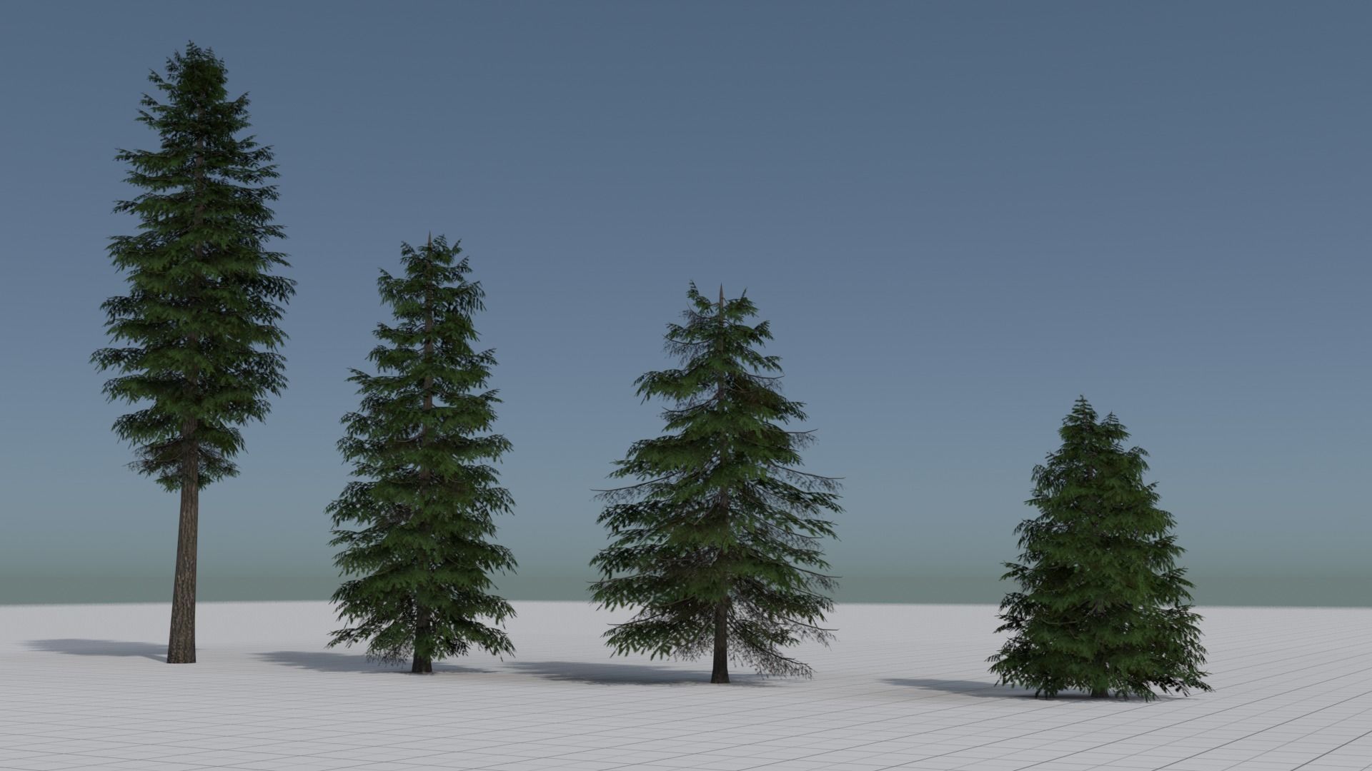 Larch Pine Tree Low-poly 3D model_10