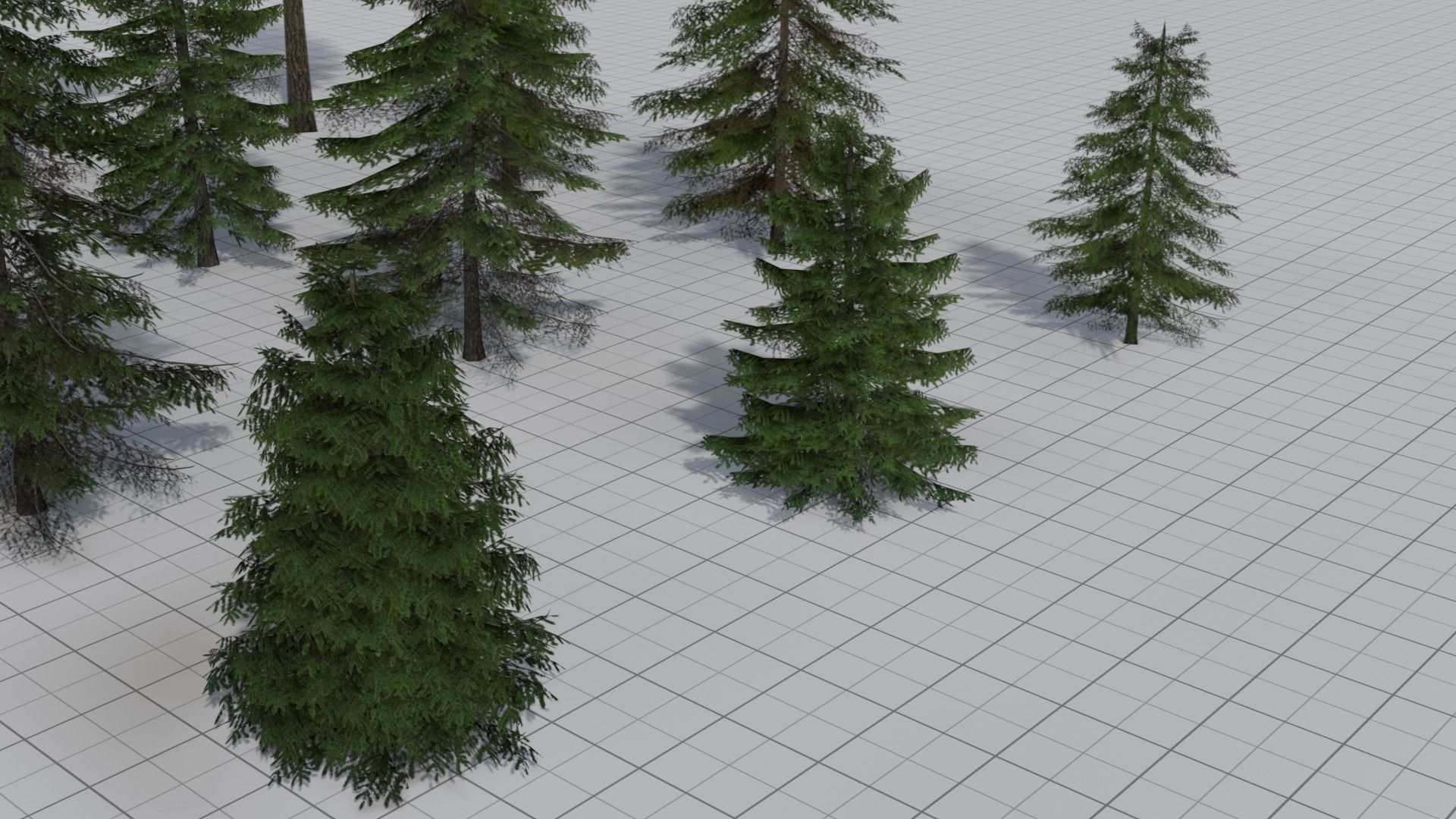 Larch Pine Tree Low-poly 3D model_2