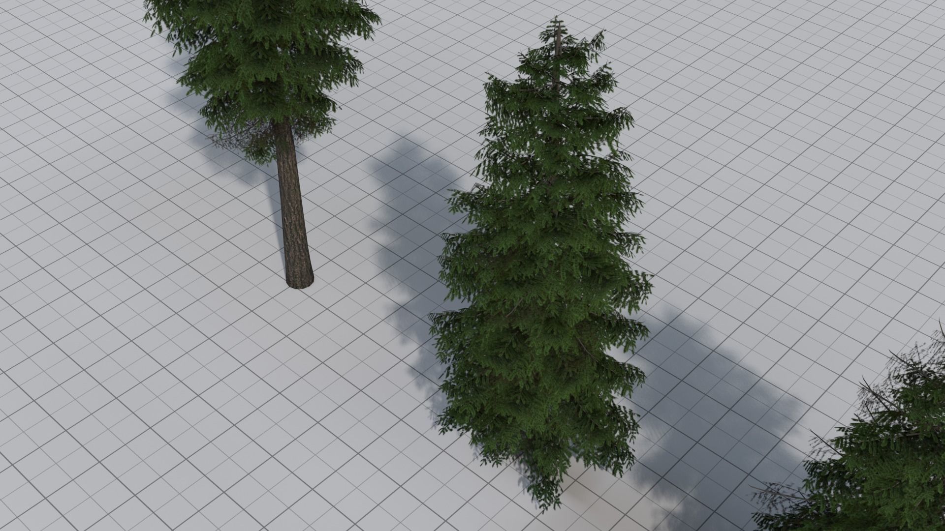 Larch Pine Tree Low-poly 3D model_13