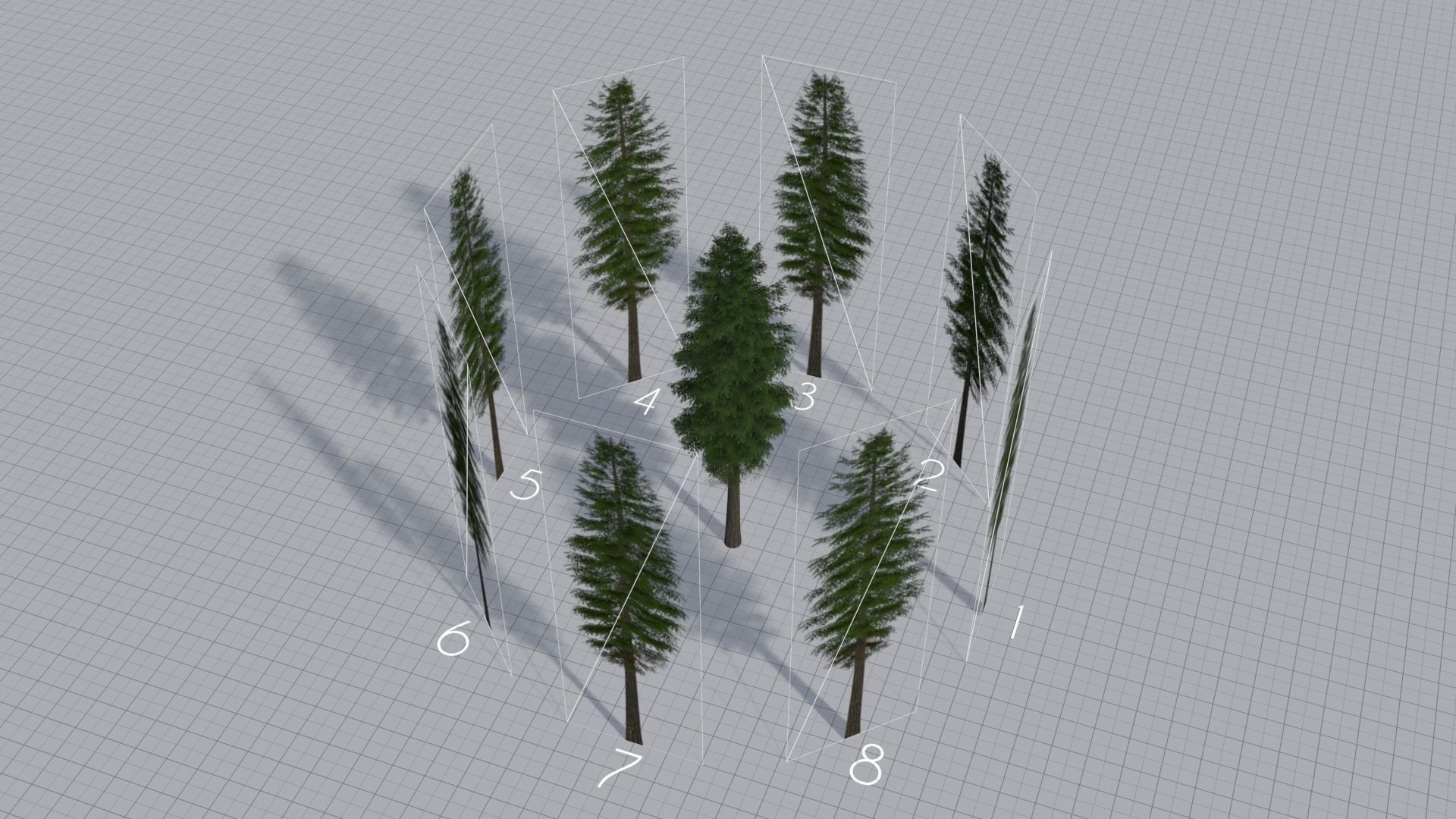 Larch Pine Tree Low-poly 3D model_21