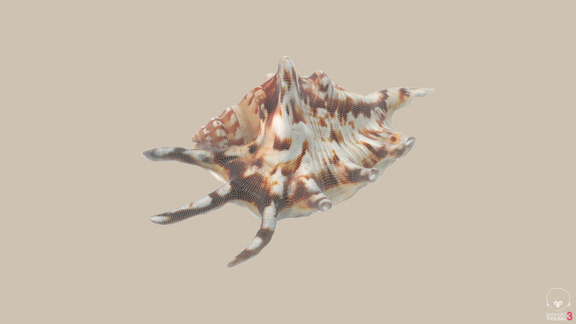 Big Seashell Low-poly 3D model_8