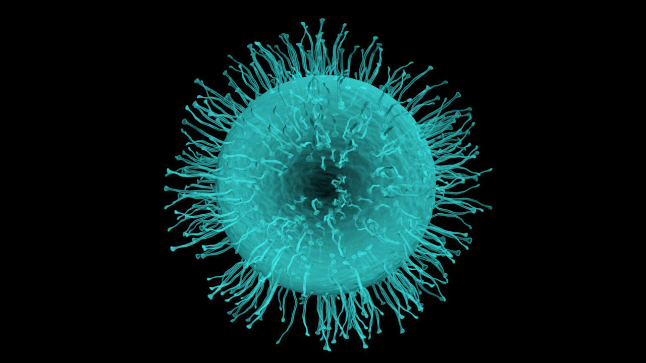 Virus bakteria 3d model 3D model_1