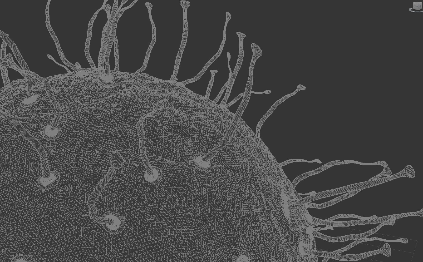 Virus bakteria 3d model 3D model_2