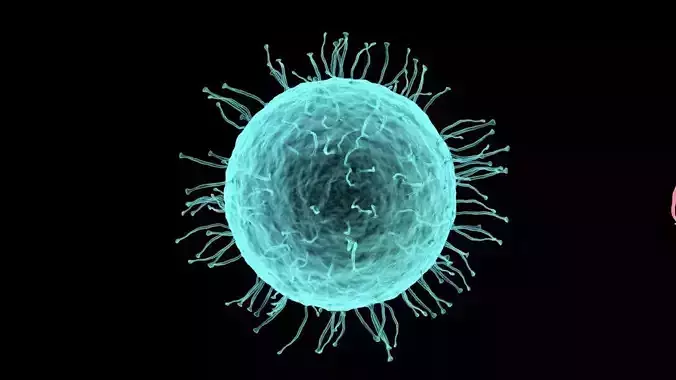 Virus bakteria 3d model 3D model