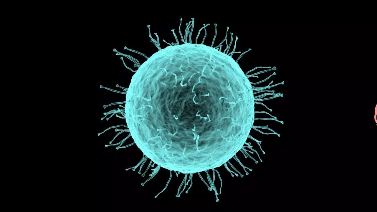 Virus bakteria 3d model 3D model_0