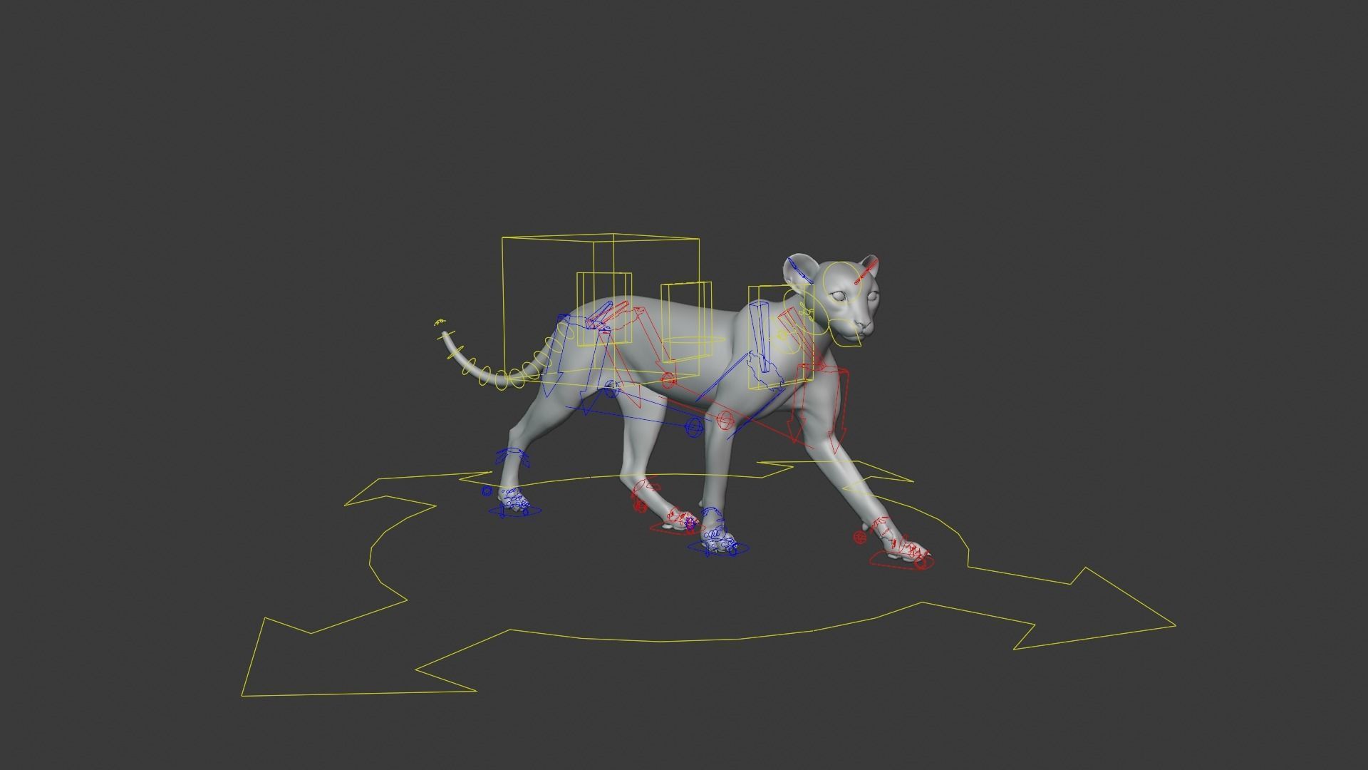 Cheetah Young Animated 3D model_13