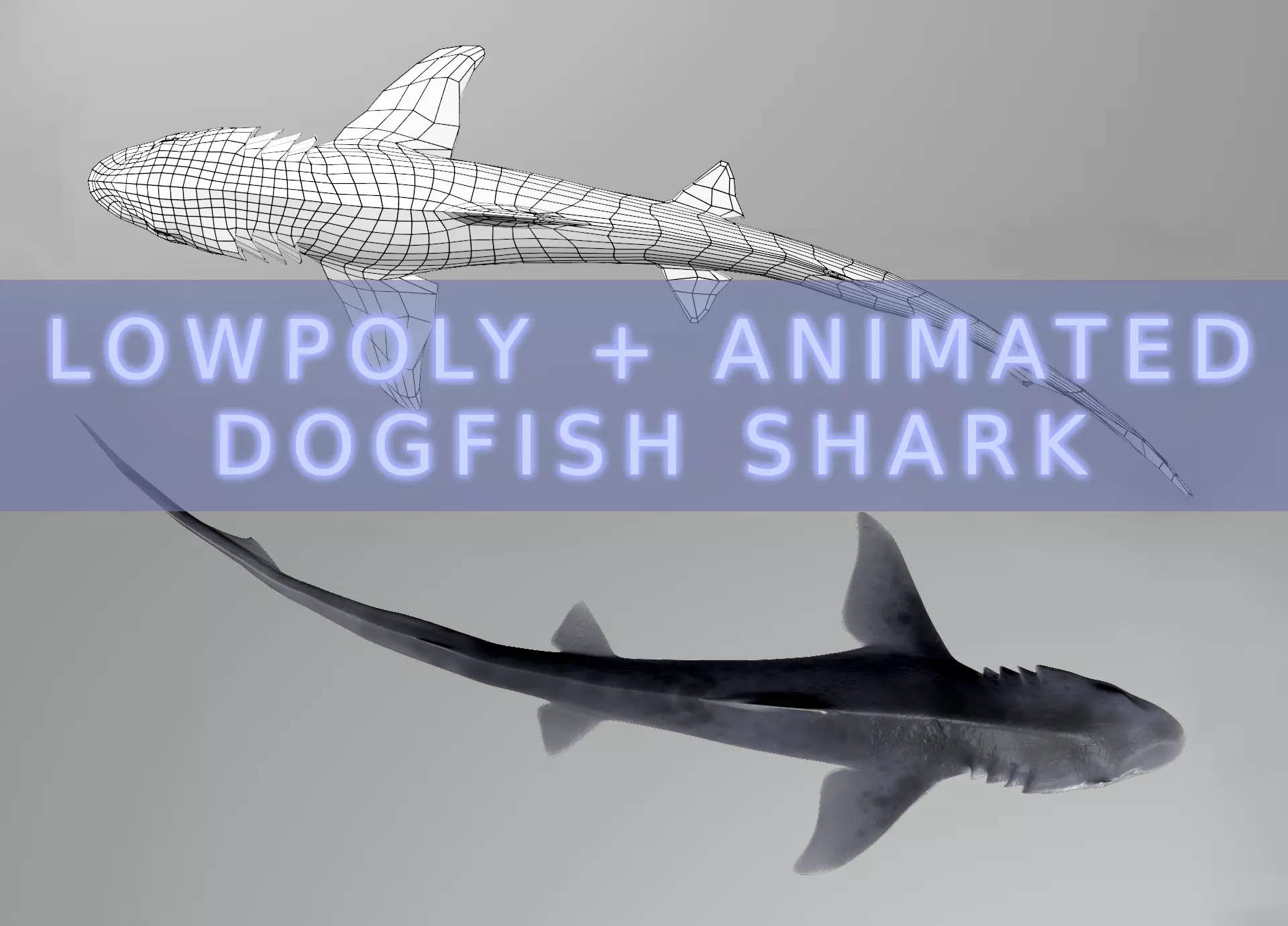 Dogfish Shark Low-poly 3D model_0