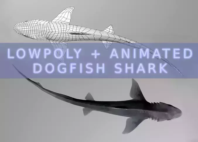 Dogfish Shark Low-poly 3D model