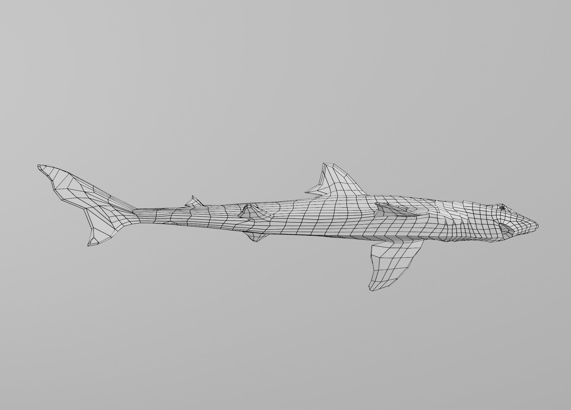 Dogfish Shark Low-poly 3D model_35