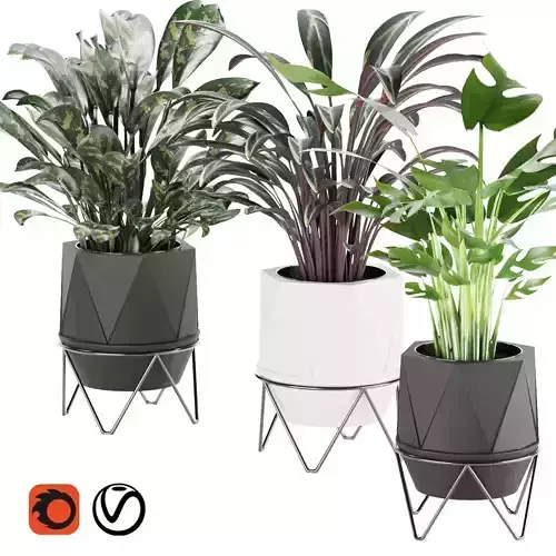 Collection plant vol 3