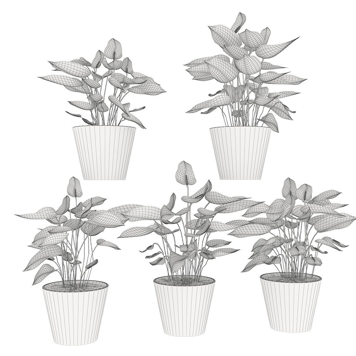 Collection plant Anthurium 3D model_3