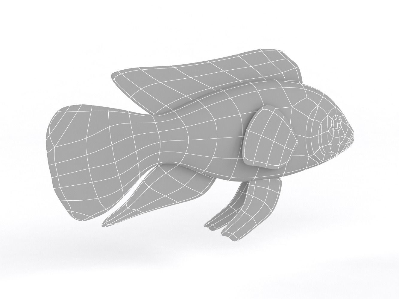 Cichlid Fish 3D model_7