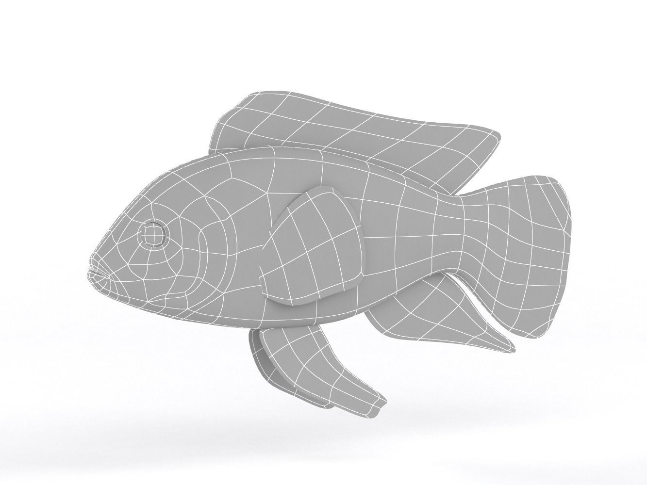 Cichlid Fish 3D model_9