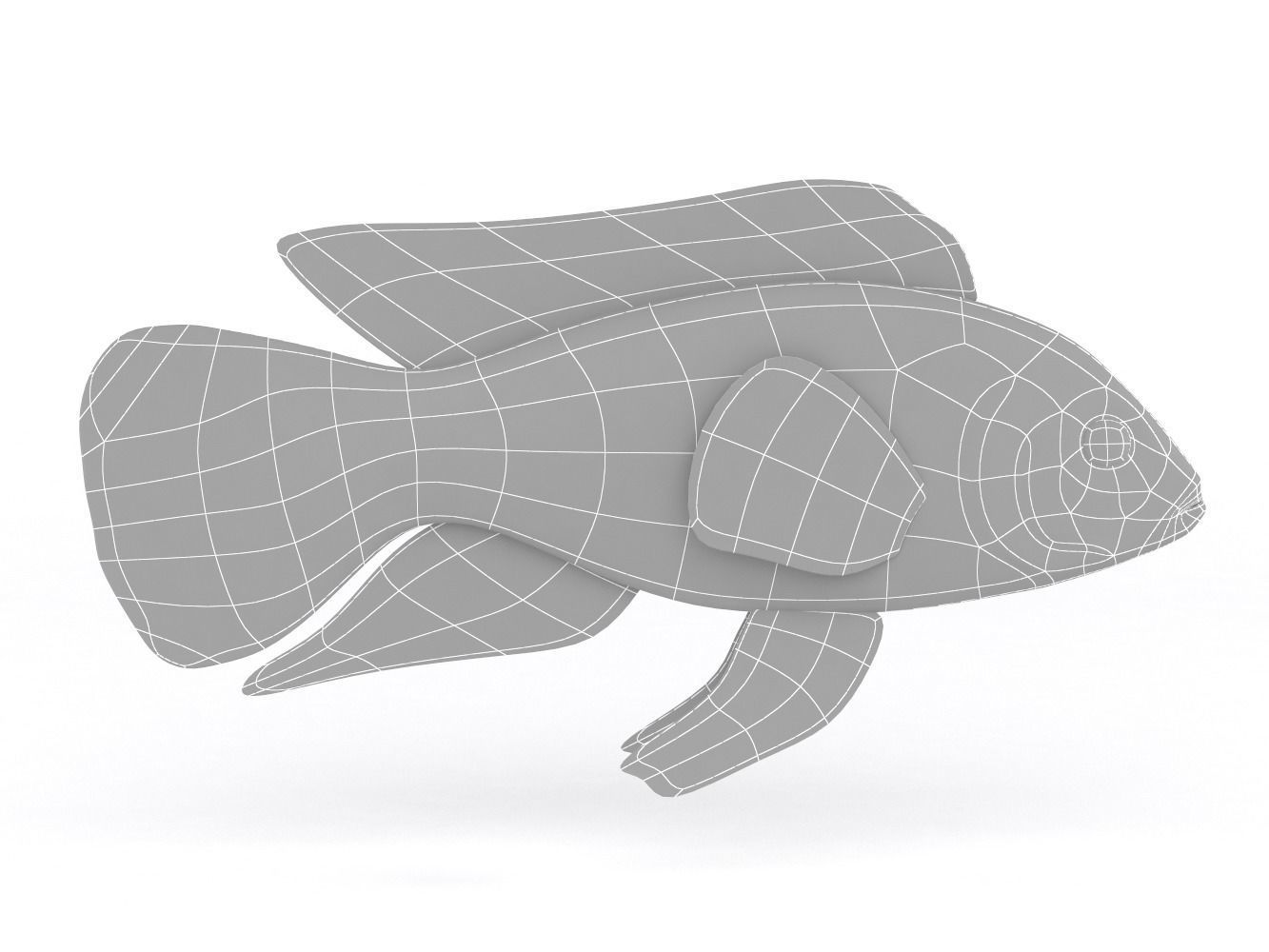 Cichlid Fish 3D model_5