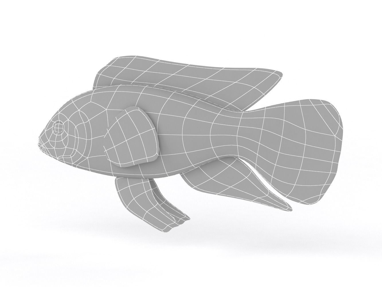 Cichlid Fish 3D model_8