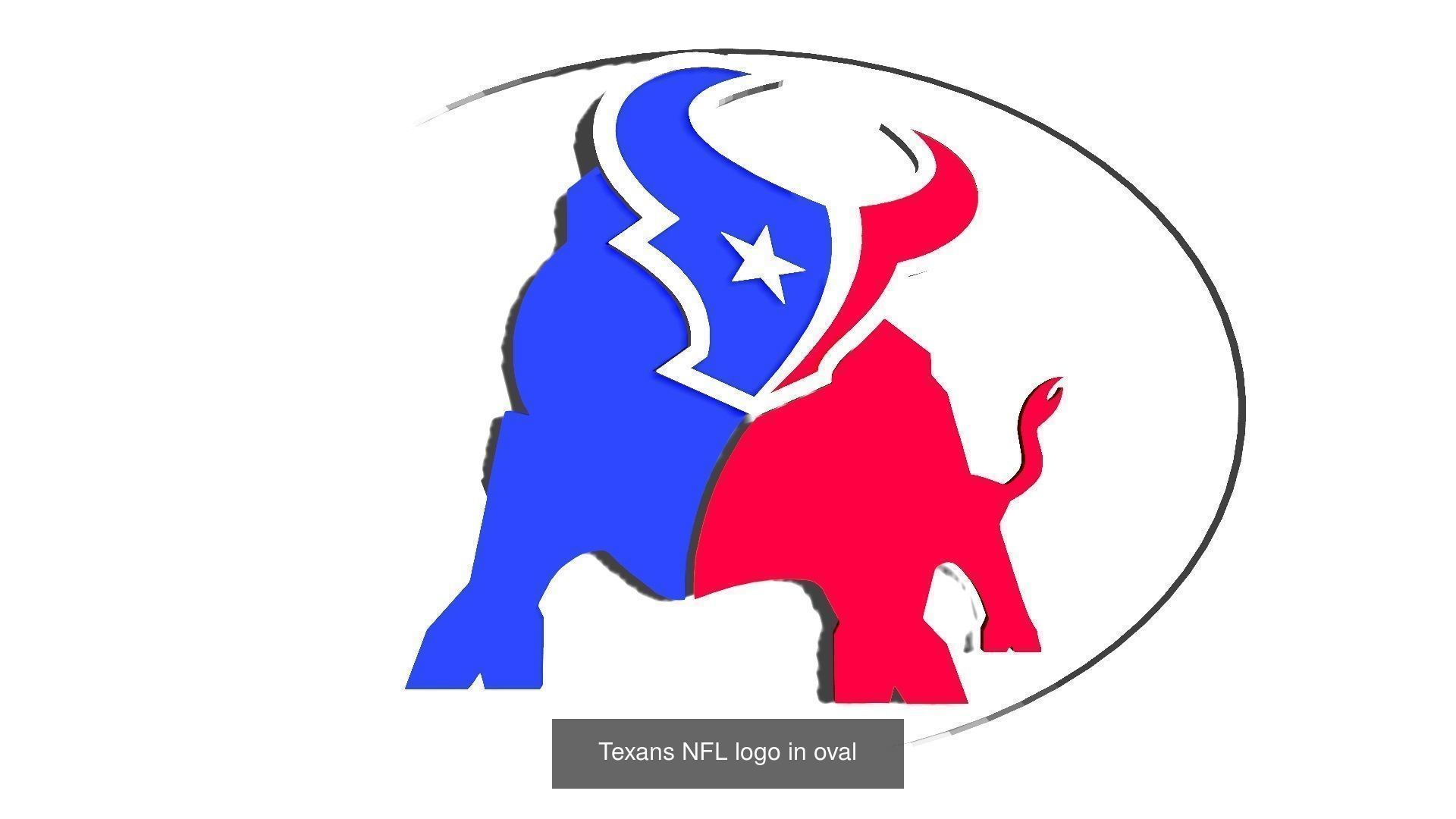 Texans houston logo 3D Model Collection_3