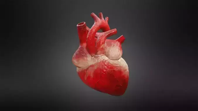 Human Heart Low-poly 3D model