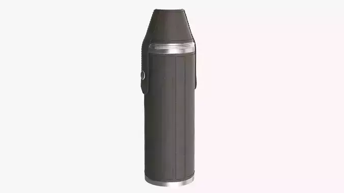 Flask with glasses leather cover 3D model