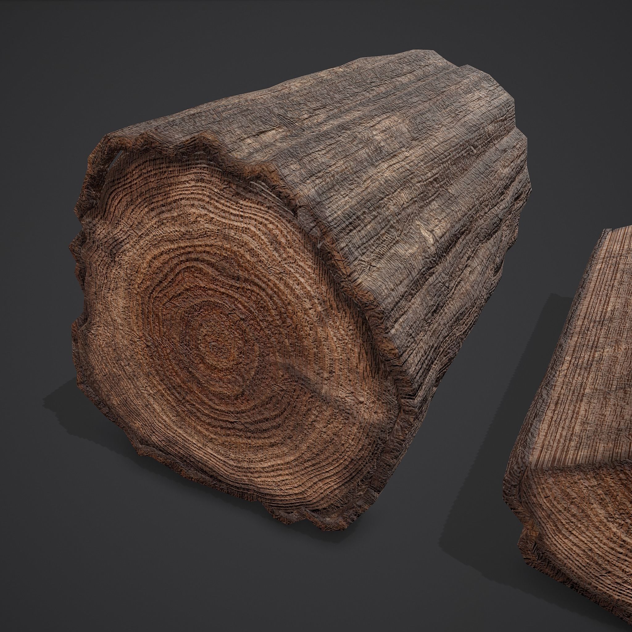 Wood Log Low-poly 3D model_8