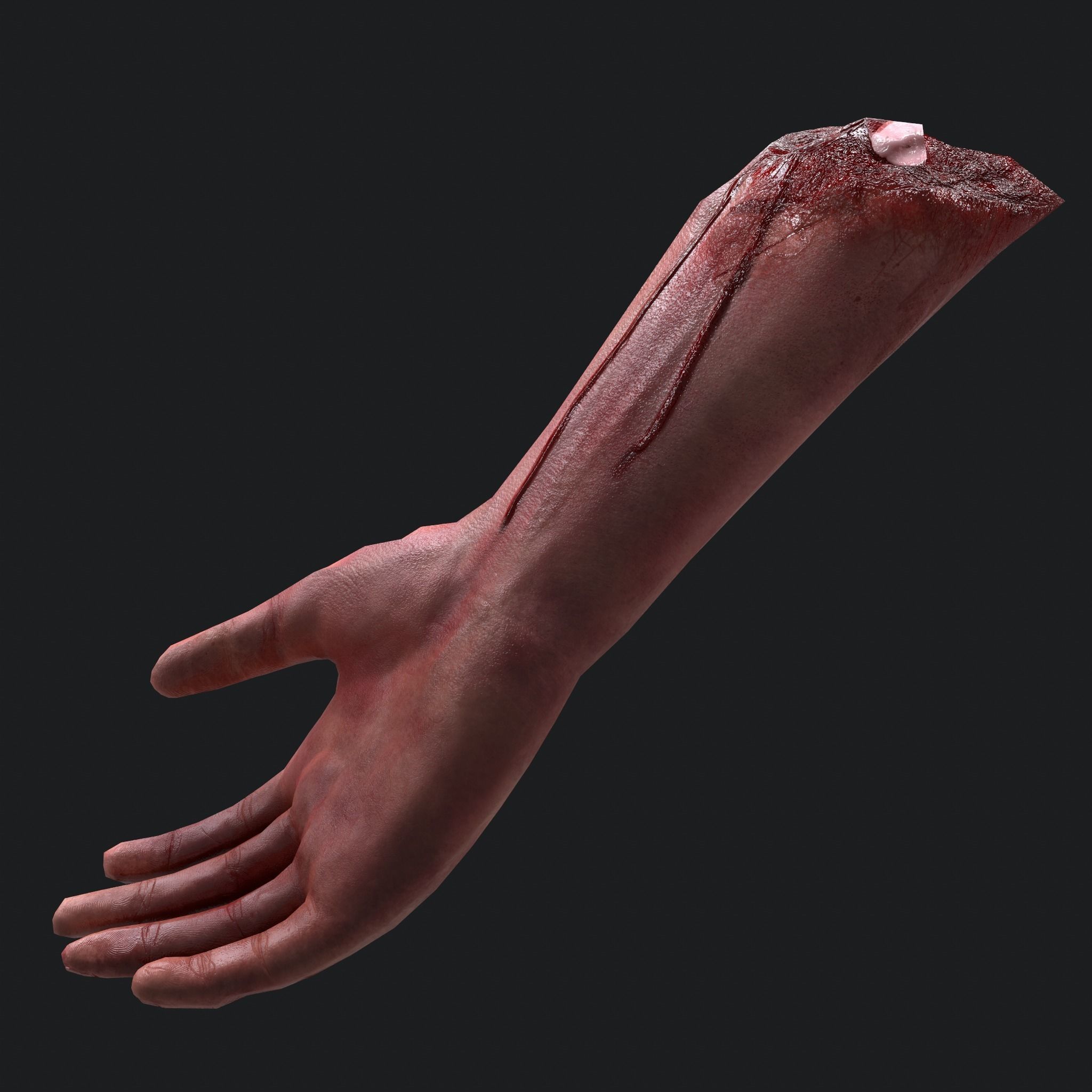 Halloween Horror Props Pack  3D Model Collection_176