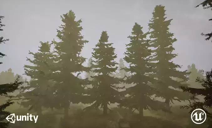 Coniferous cedar forest pack Low-poly 3D model