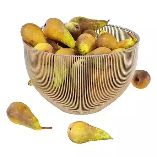 Pear Conference in Decorative Metal Vase