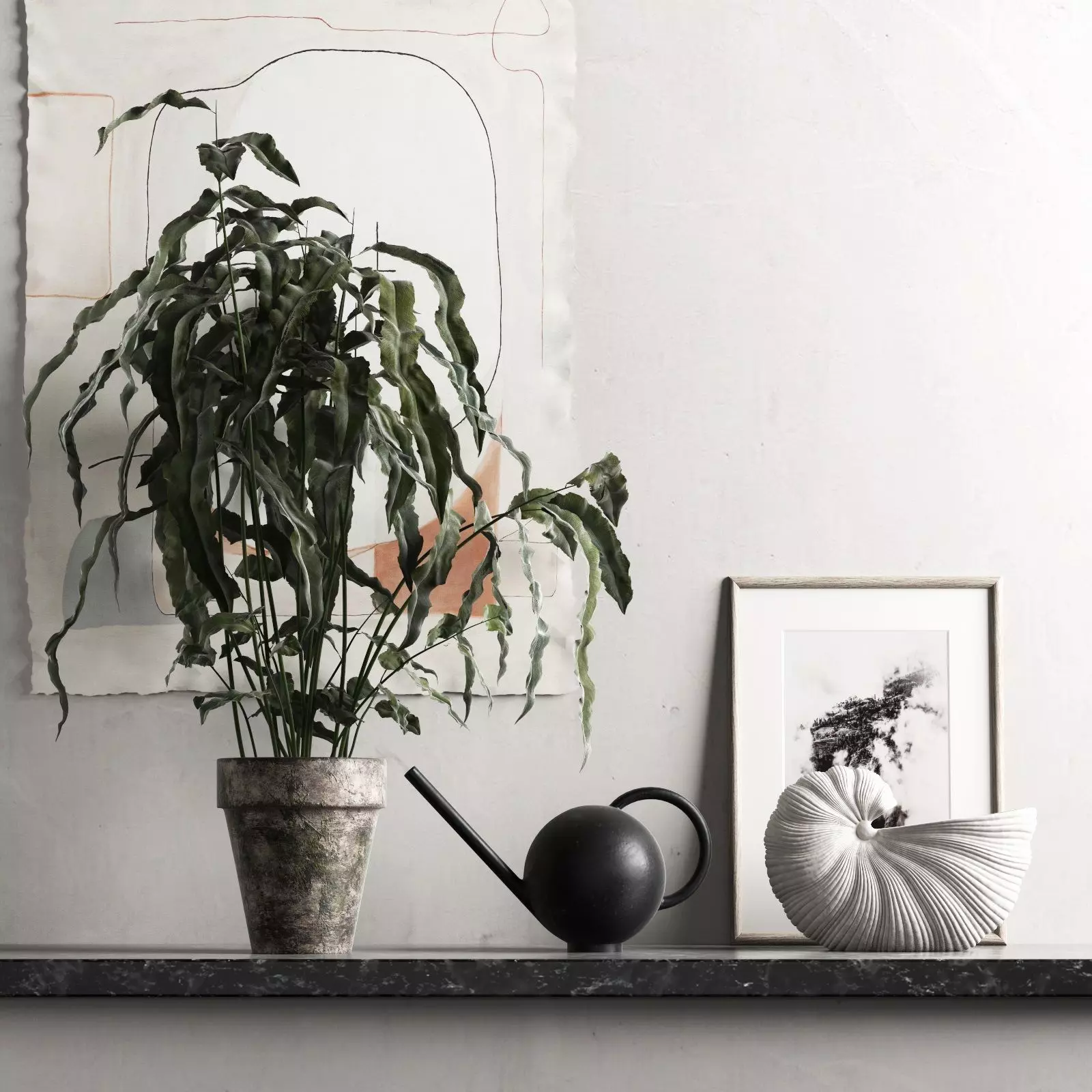 Plant with Watering Can and Shell Pot 3D model_0