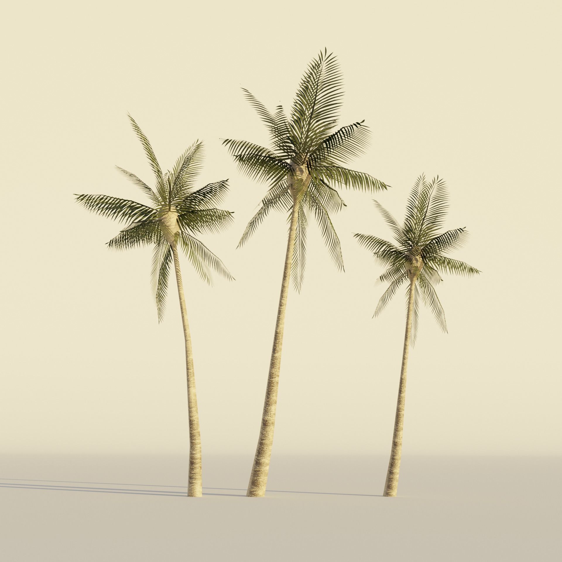 Tropical tree and bush set mega pack Low-poly 3D model_10
