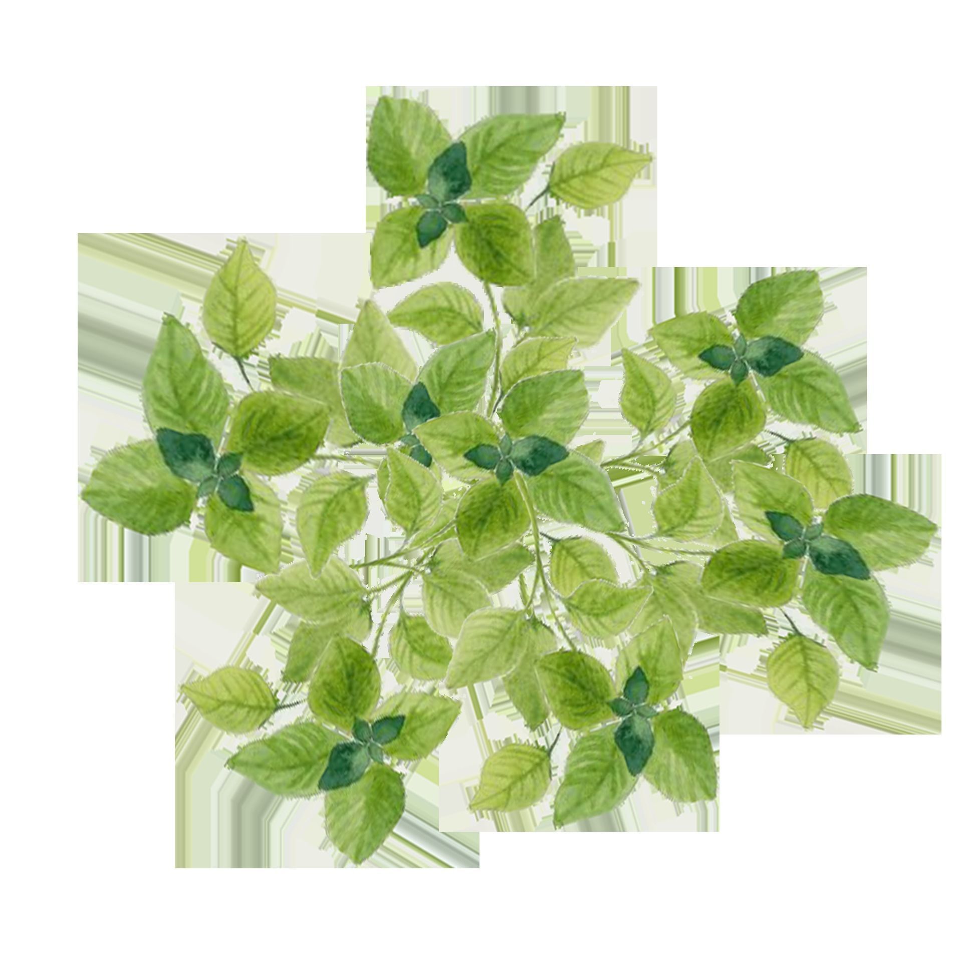 Tropical tree and bush set mega pack Low-poly 3D model_5