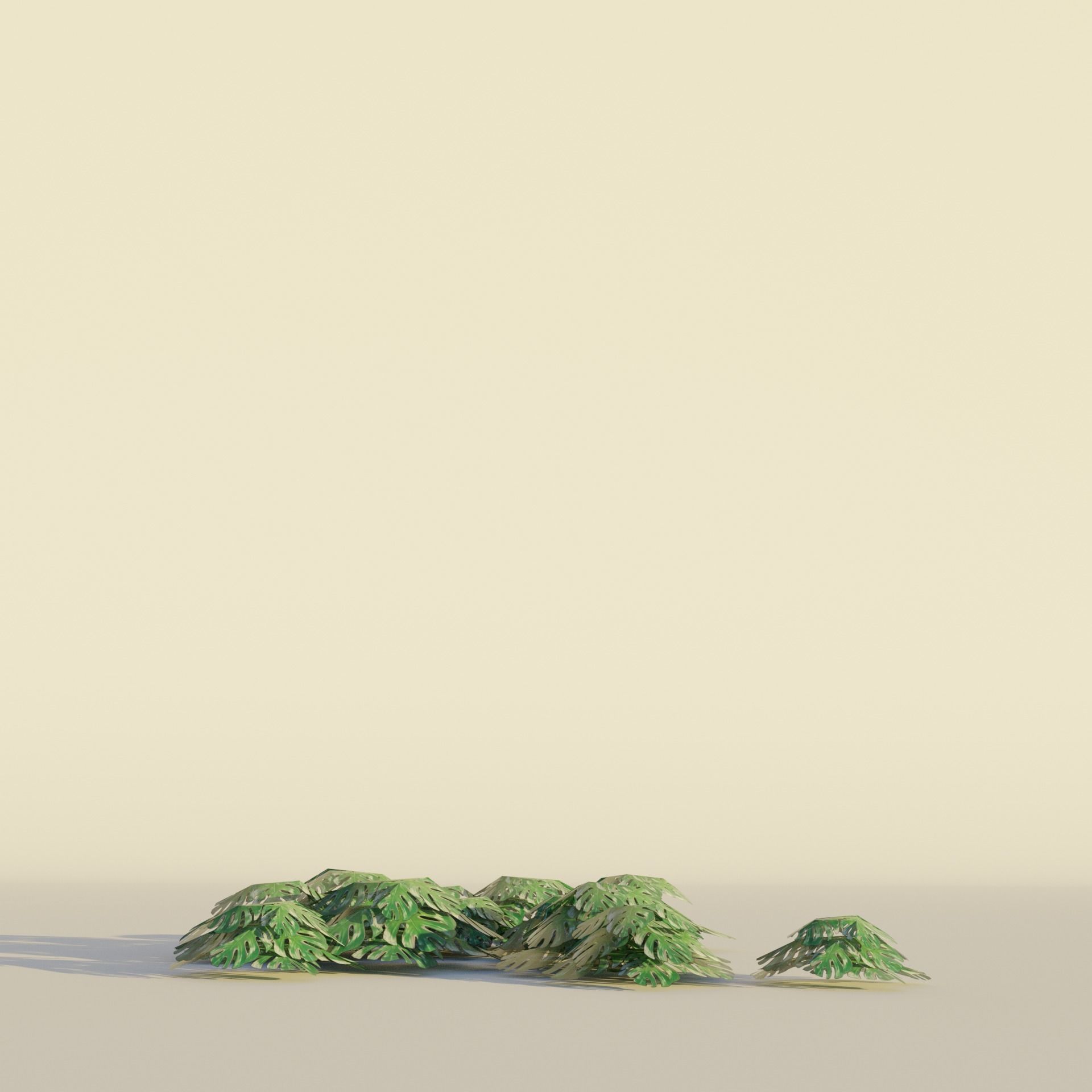 Tropical tree and bush set mega pack Low-poly 3D model_14