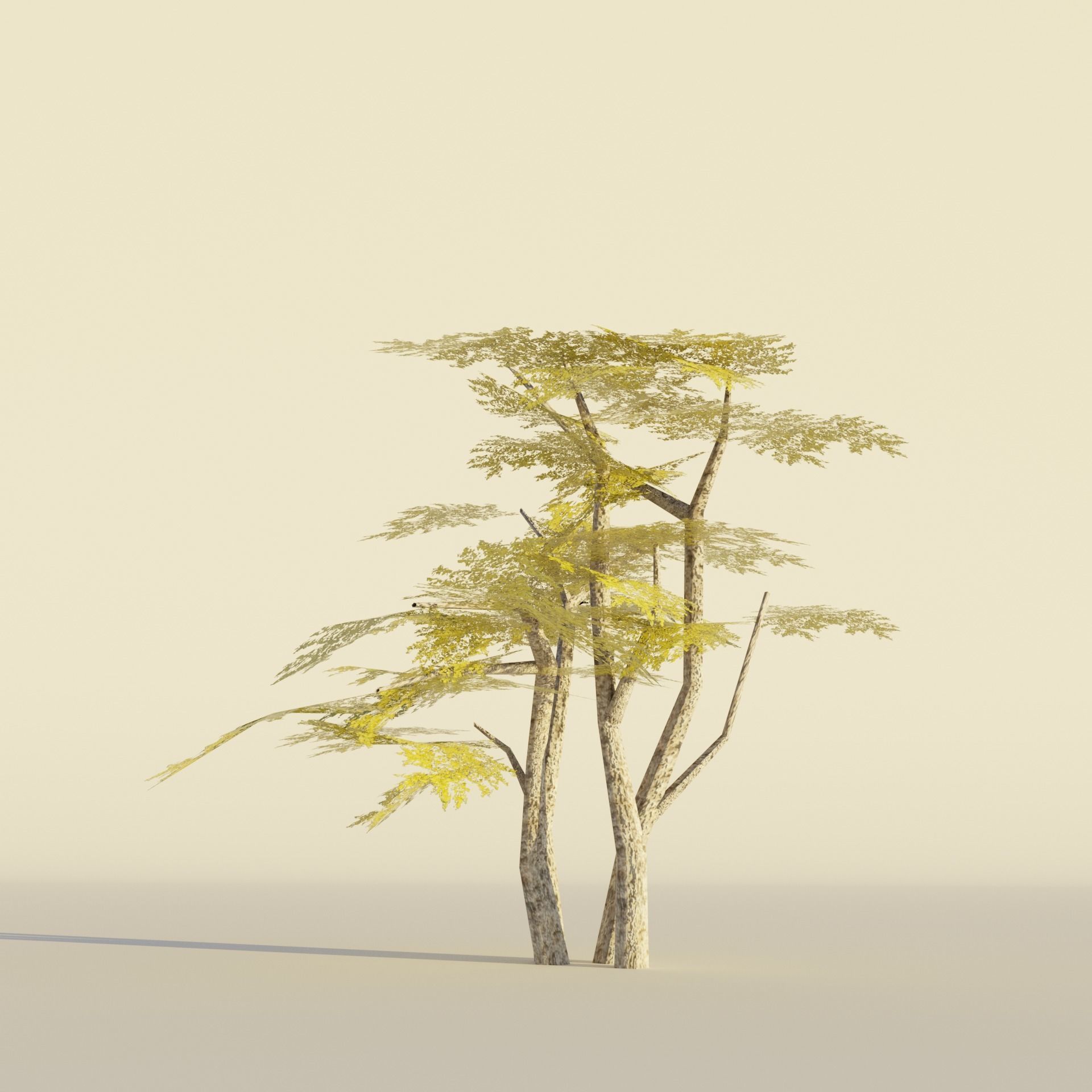 Tropical tree and bush set mega pack Low-poly 3D model_12