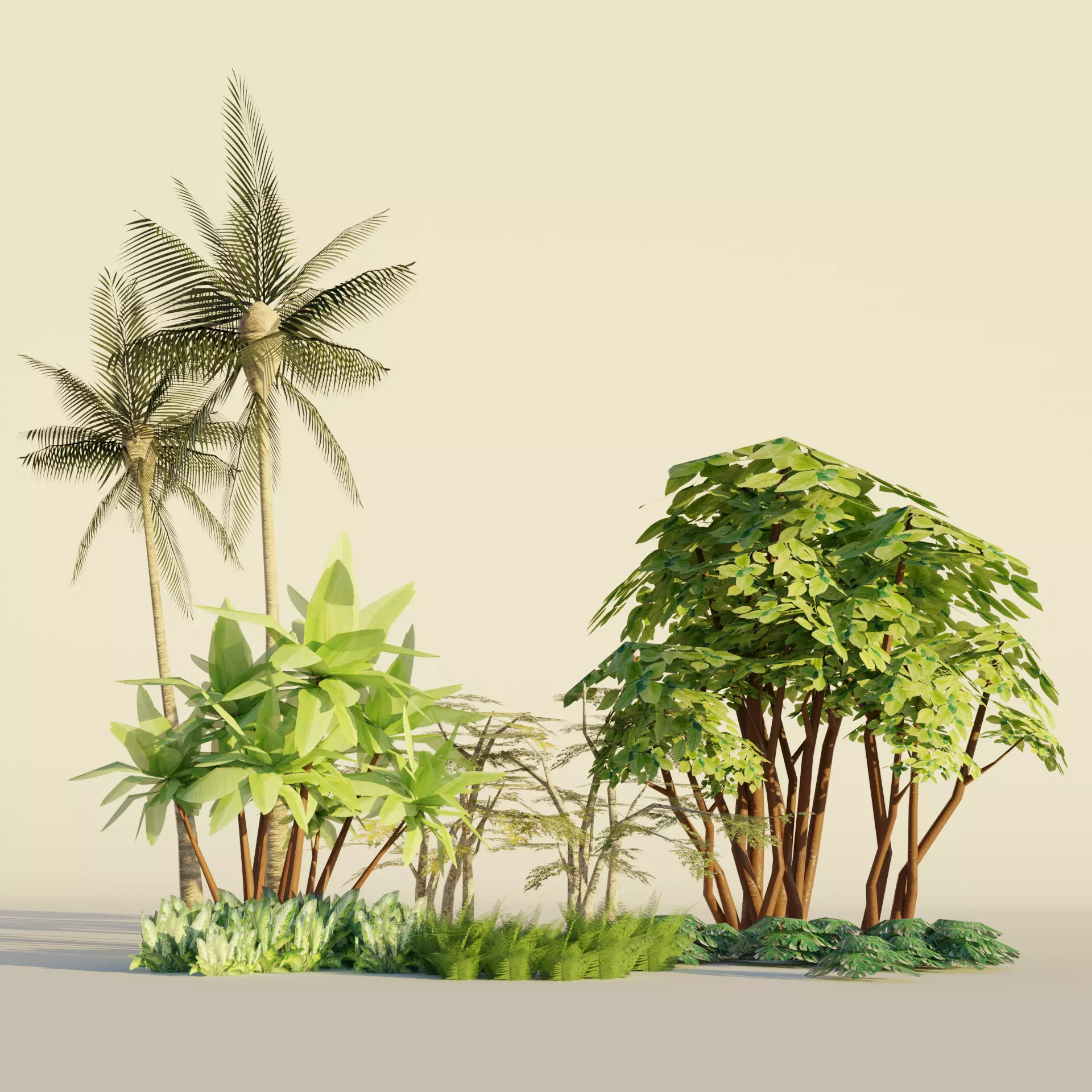 Tropical tree and bush set mega pack Low-poly 3D model_0