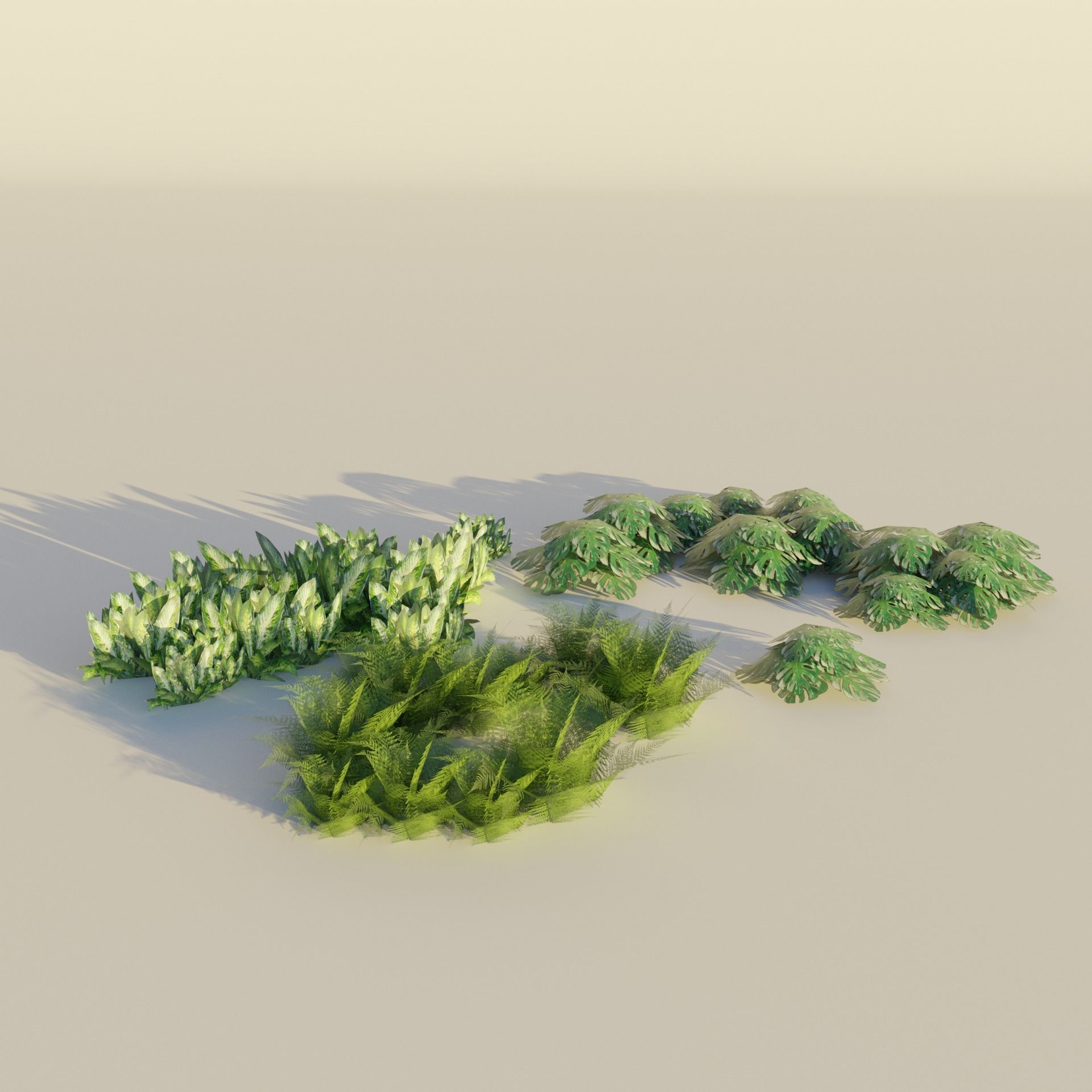 Tropical tree and bush set mega pack Low-poly 3D model_1