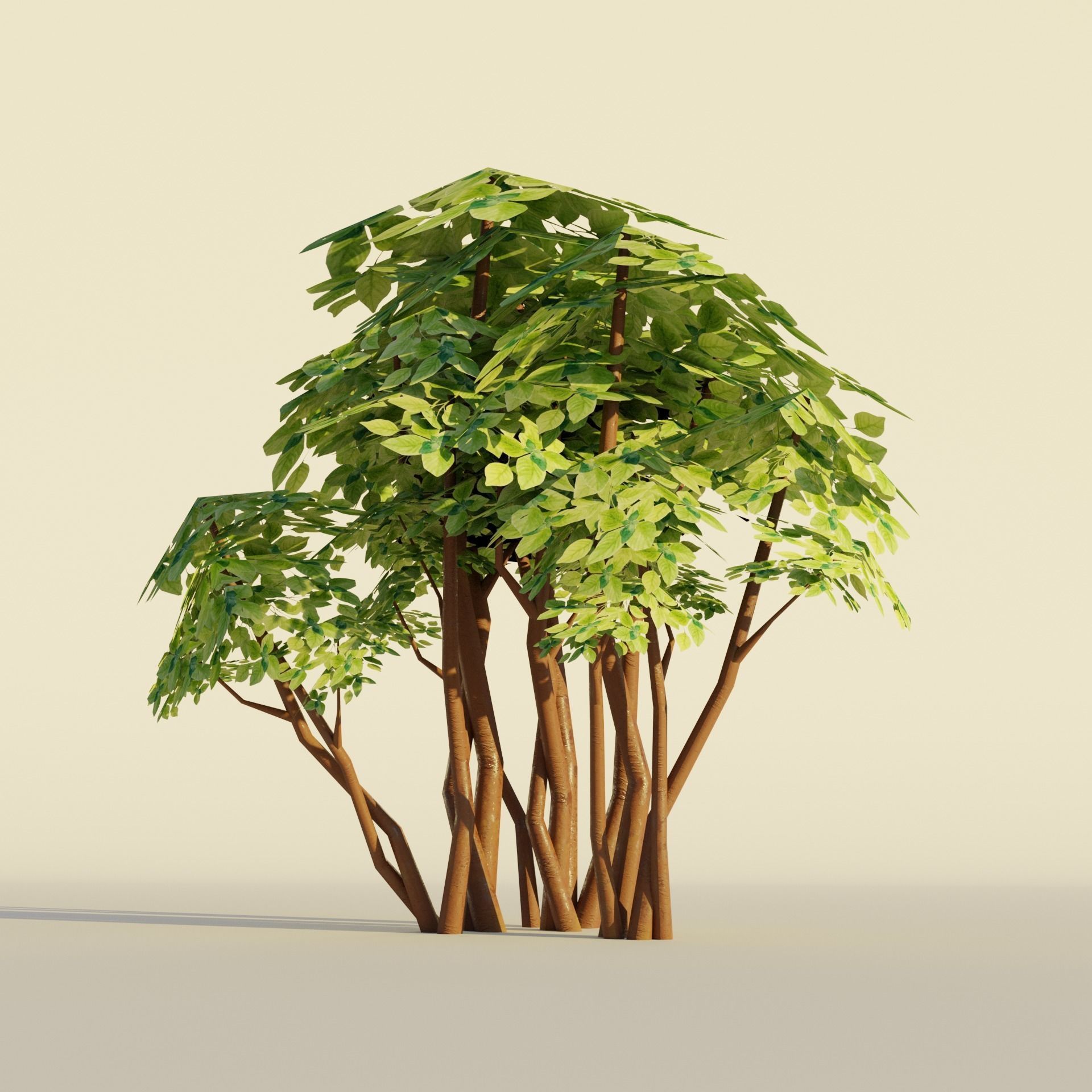 Tropical tree and bush set mega pack Low-poly 3D model_2