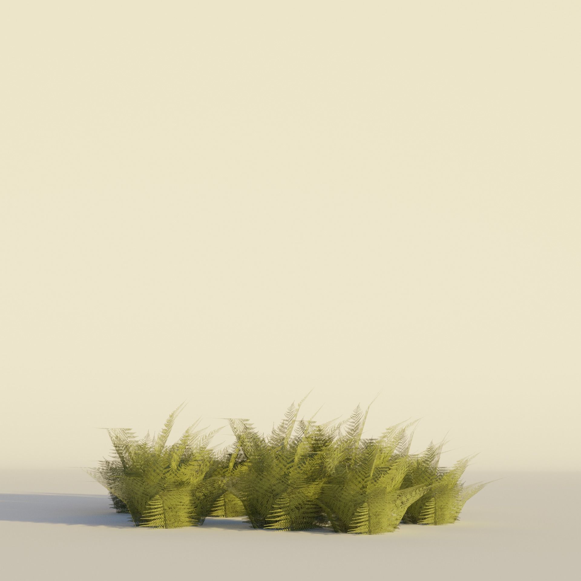 Tropical tree and bush set mega pack Low-poly 3D model_16