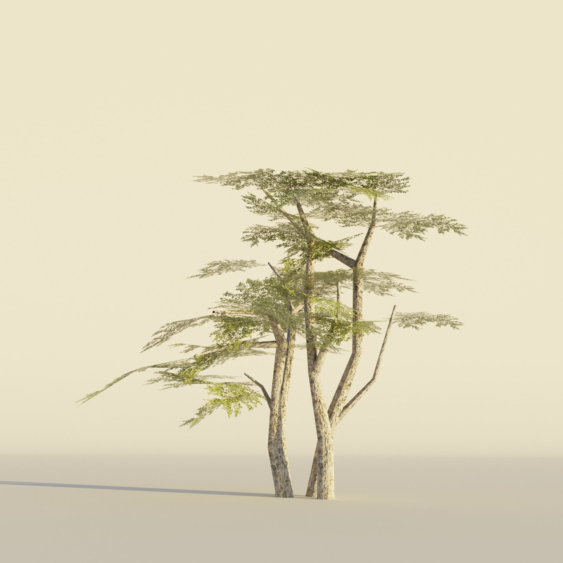 Tropical tree and bush set mega pack Low-poly 3D model_11