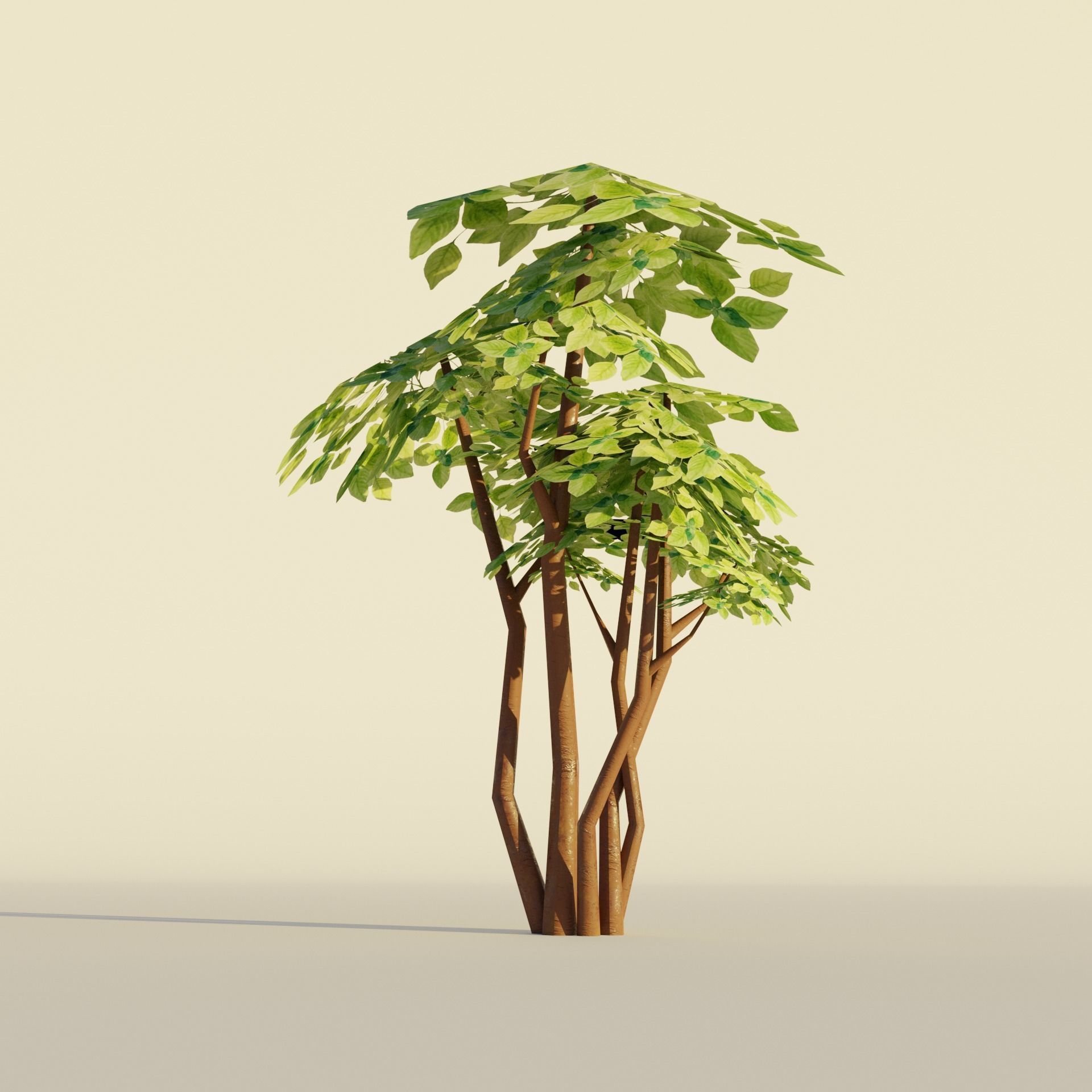Tropical tree and bush set mega pack Low-poly 3D model_3