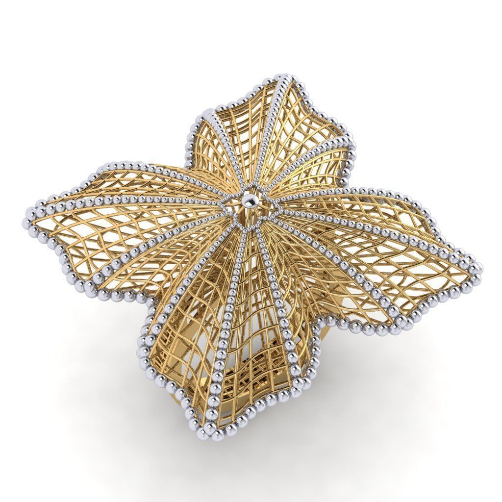 fizyon rings 37 50x Models 3D print model_36