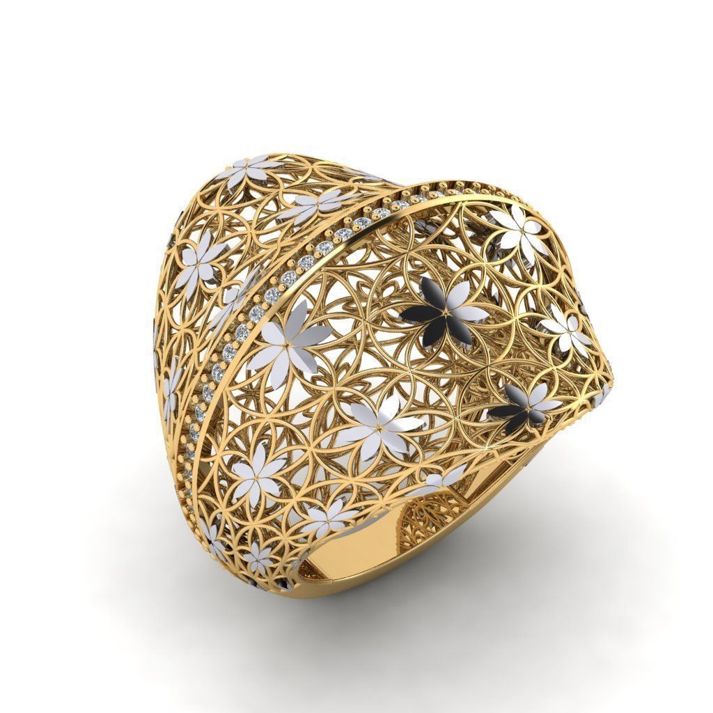 fizyon rings 37 50x Models 3D print model_14