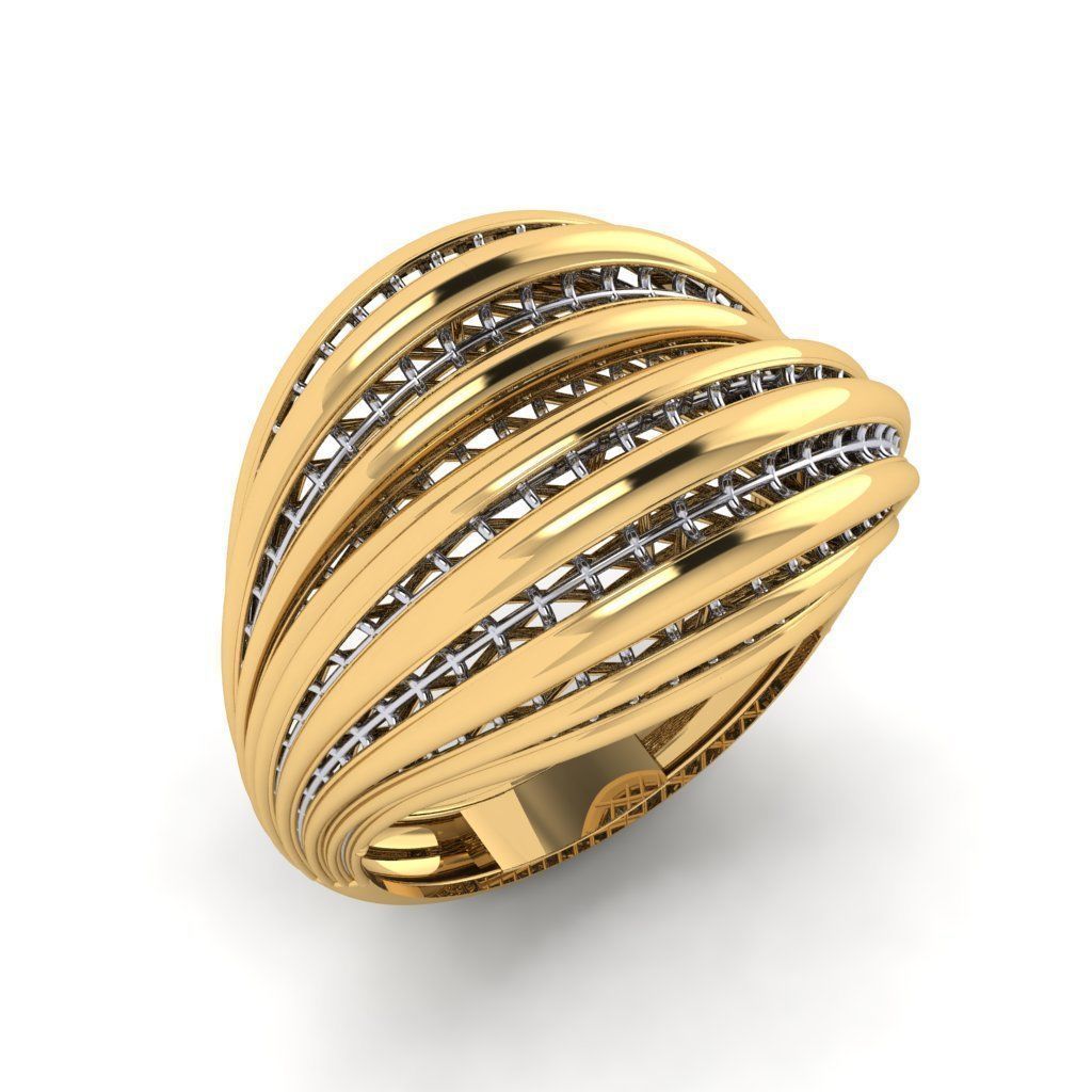 fizyon rings 37 50x Models 3D print model_23