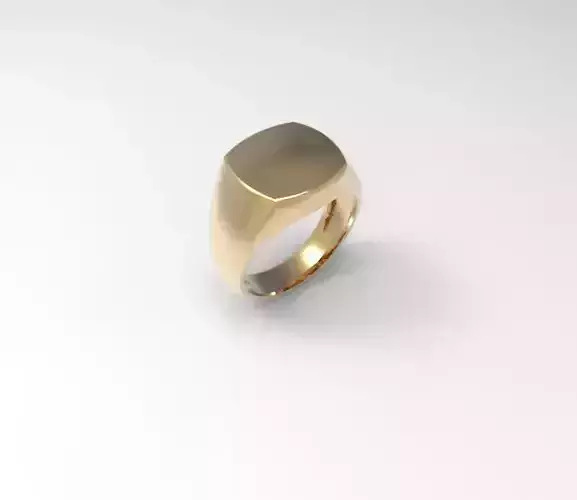 minimalism signet ring gold