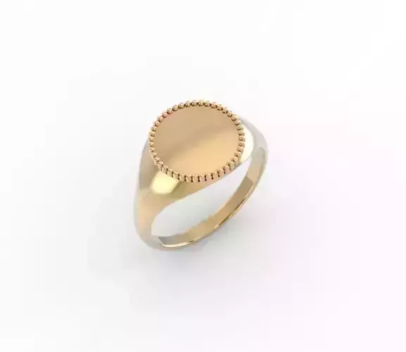 minimalism oval signet ring gold