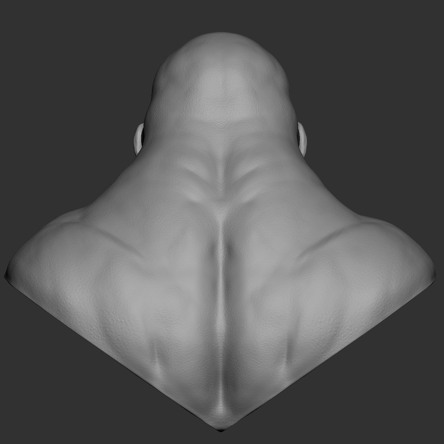 Hybrid gorilla bust 01 - Highpoly Sculpture 3D model_5
