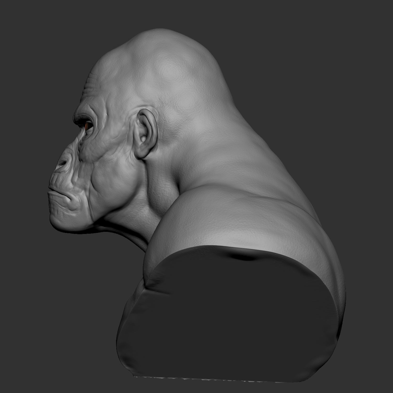Hybrid gorilla bust 01 - Highpoly Sculpture 3D model_3