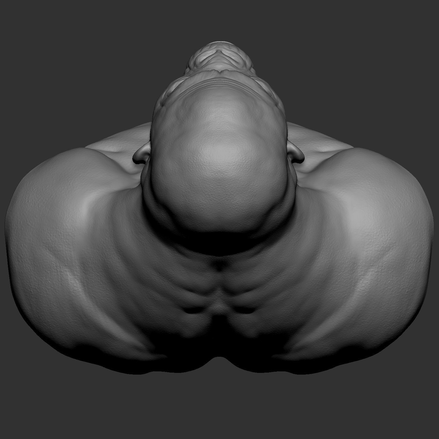 Hybrid gorilla bust 01 - Highpoly Sculpture 3D model_4
