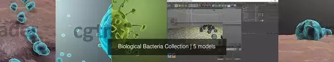 Biological Bacteria Collection 