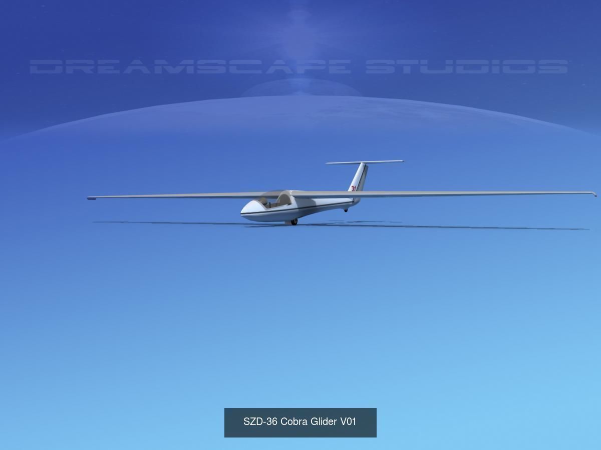 Large Collection of 60 Gliders and Sailplanes _19